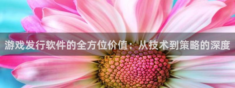 亿万28注册开户：游戏发行软件的全方位价值：从技术到策略的深度