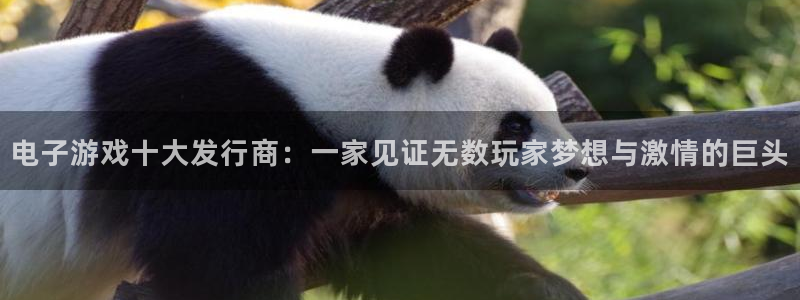 亿万28官网注册平台官网：电子游戏十大发行商：一家见证无数玩家梦想与激情的巨头
