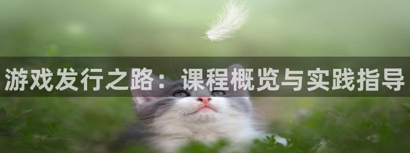 亿万28子经理人杂志：游戏发行之路：课程概览与实践指导