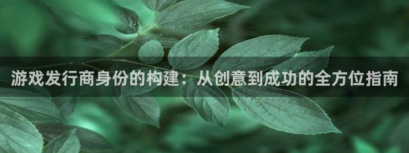 亿万28官网挂机项目怎么样可靠吗：游戏发行商身份的构建：从创意到成功的全方位指南