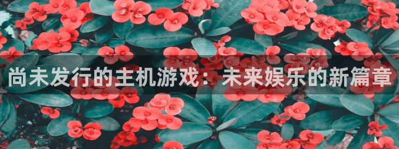 亿万28电子商务有限公司怎么样知乎：尚未发行的主机游戏：未来娱乐的新篇章