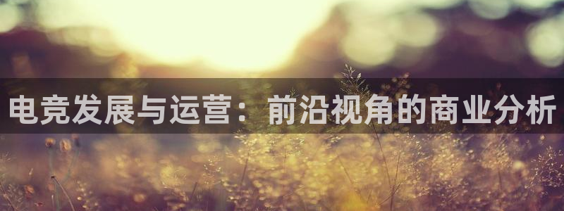 亿万28户外：电竞发展与运营：前沿视角的商业分析