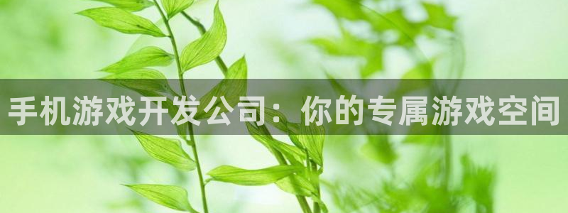 亿万28官网注册地址在哪里查：手机游戏开发公司：你的专属游戏空间