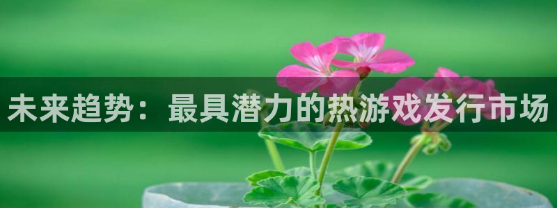 亿万28lvnces官网：未来趋势：最具潜力的热游戏发行市场