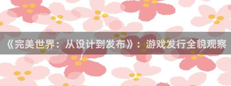 重庆亿万28子文化传播有限公司：《完美世界：从设计到发布》：游戏发行全貌观察