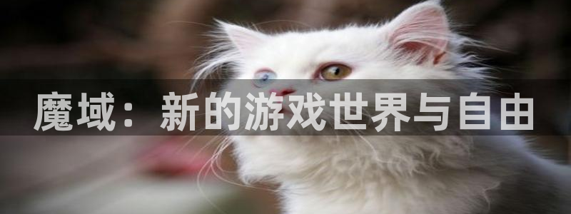 亿万28logo片头米高梅狮子：魔域：新的游戏世界与自由