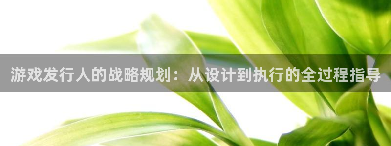 亿万28官网代理开号多少钱：游戏发行人的战略规划：从设计到执行的全过程指导